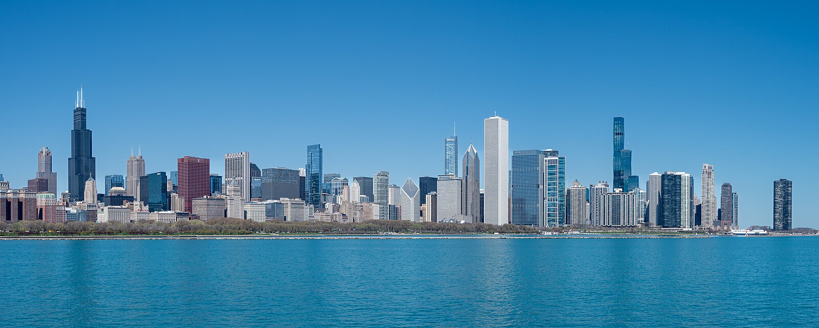 banner-image