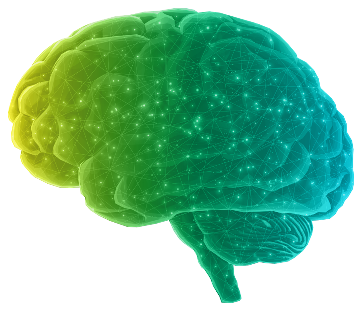 Network Brain Split — web brain