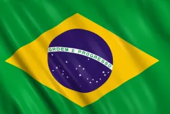 Brazil Flag