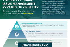 Pyramid Infographic
