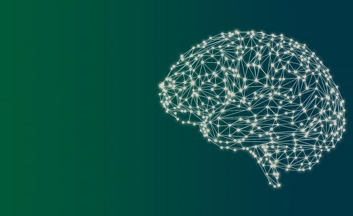 Collective Intelligence