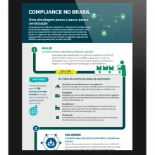 3d-brazil-serialization-timeline-infographic_br.png