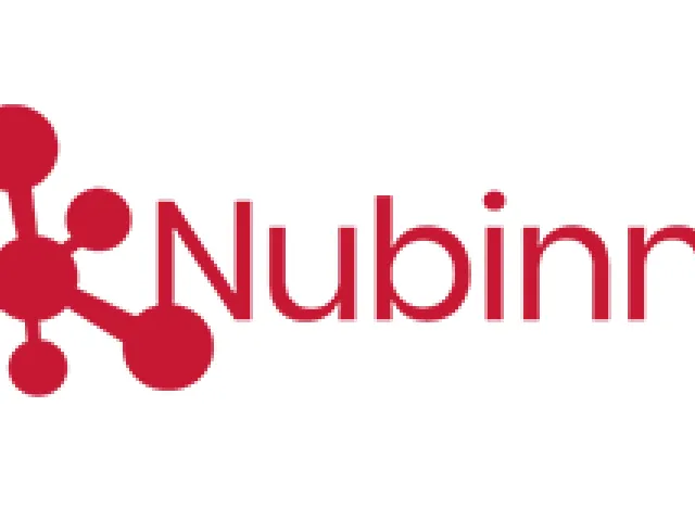 Nubinno Logo