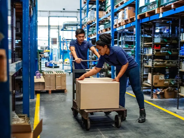 Wholesale-Distributor