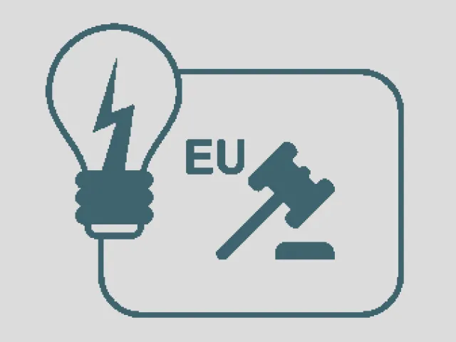 EU Hub Icon