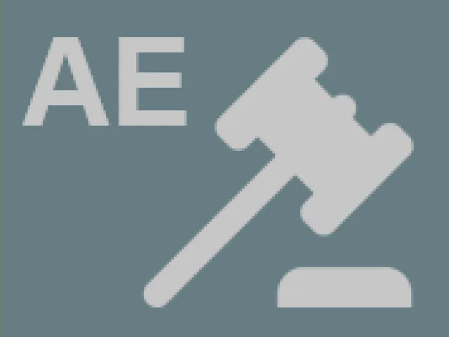 United Arab Emirates Icon