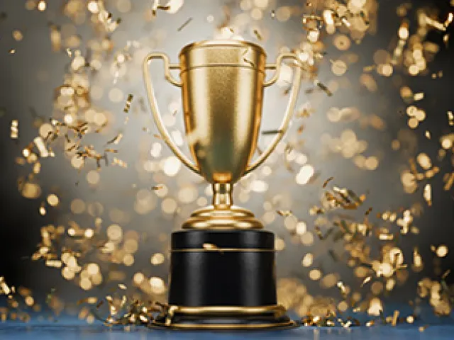 Merit Award