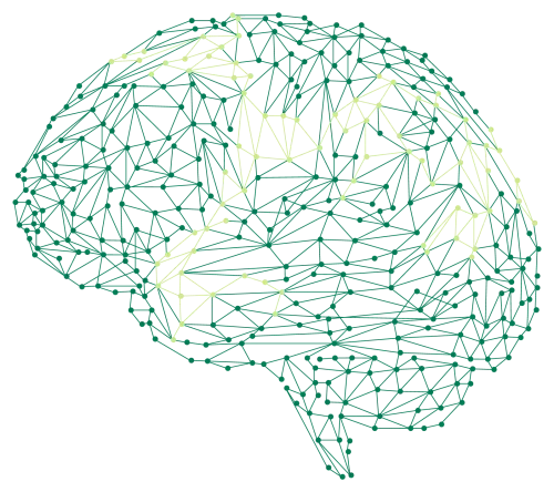 Transform Information Flows