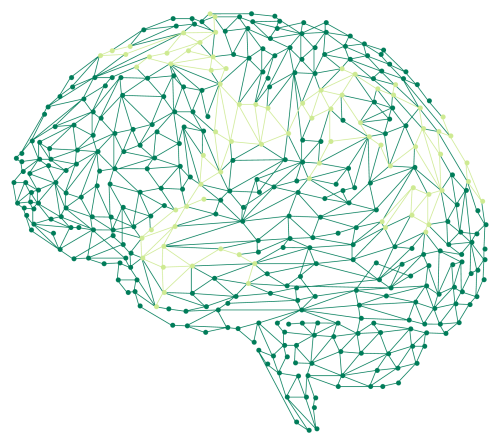 Transform Information Flows